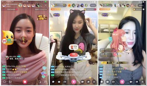 娱乐吃瓜酱考大学